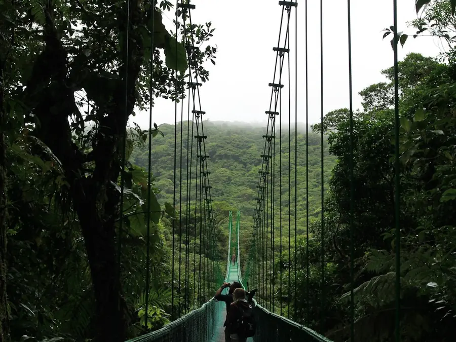 Hanging bridge over the misty cloud forest of Monteverde
