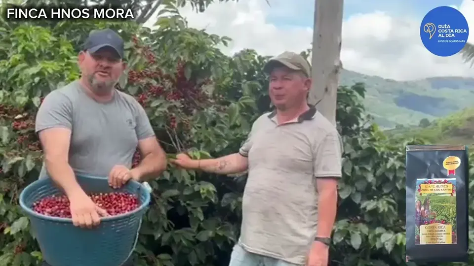 Oscar Calvo with a farmer holding a basket of freshly picked coffee cherries at Finca Hermanos Mora
